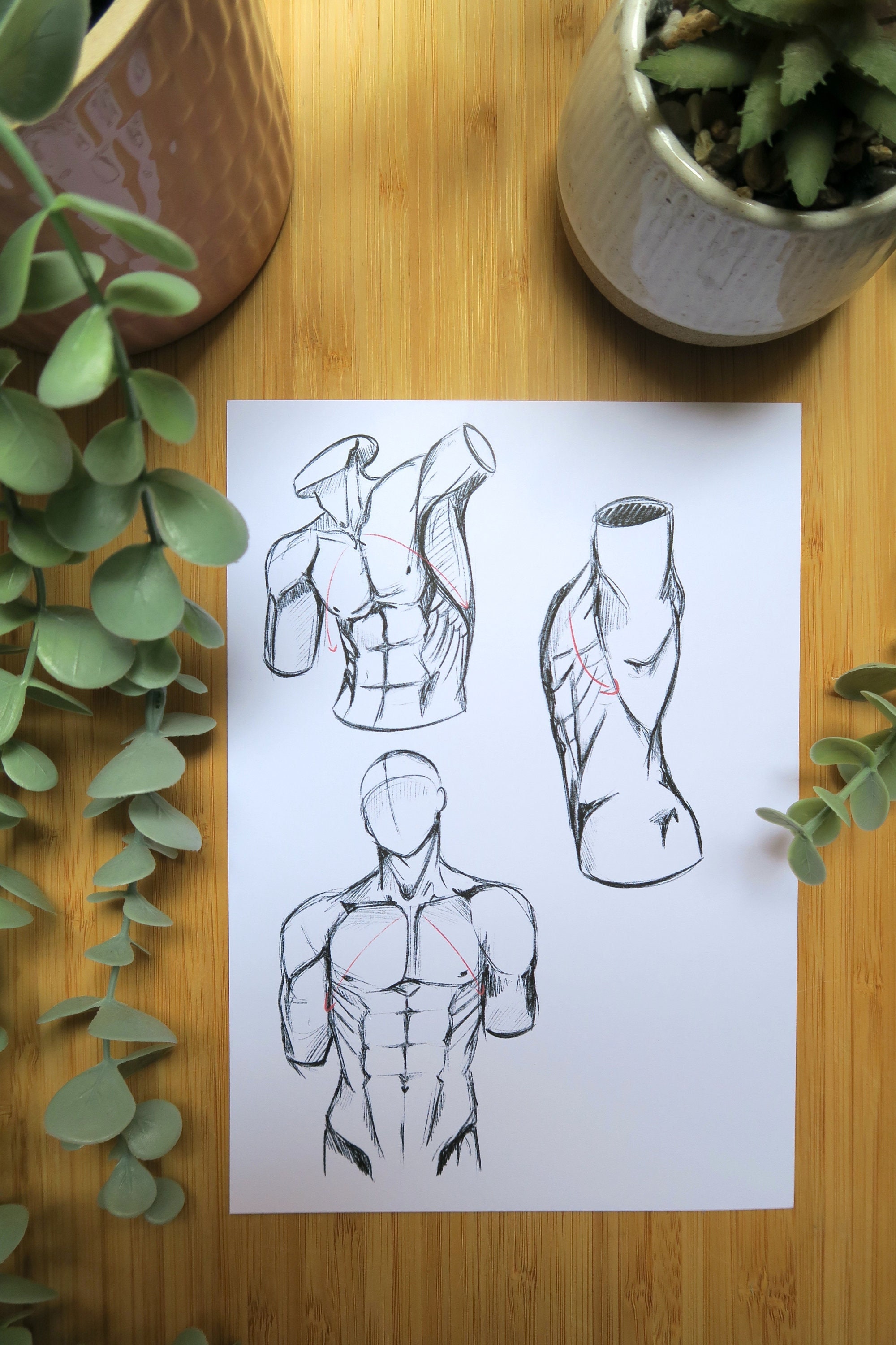 learning to draw male anatomy, what do you guys think? : r/learntodraw
