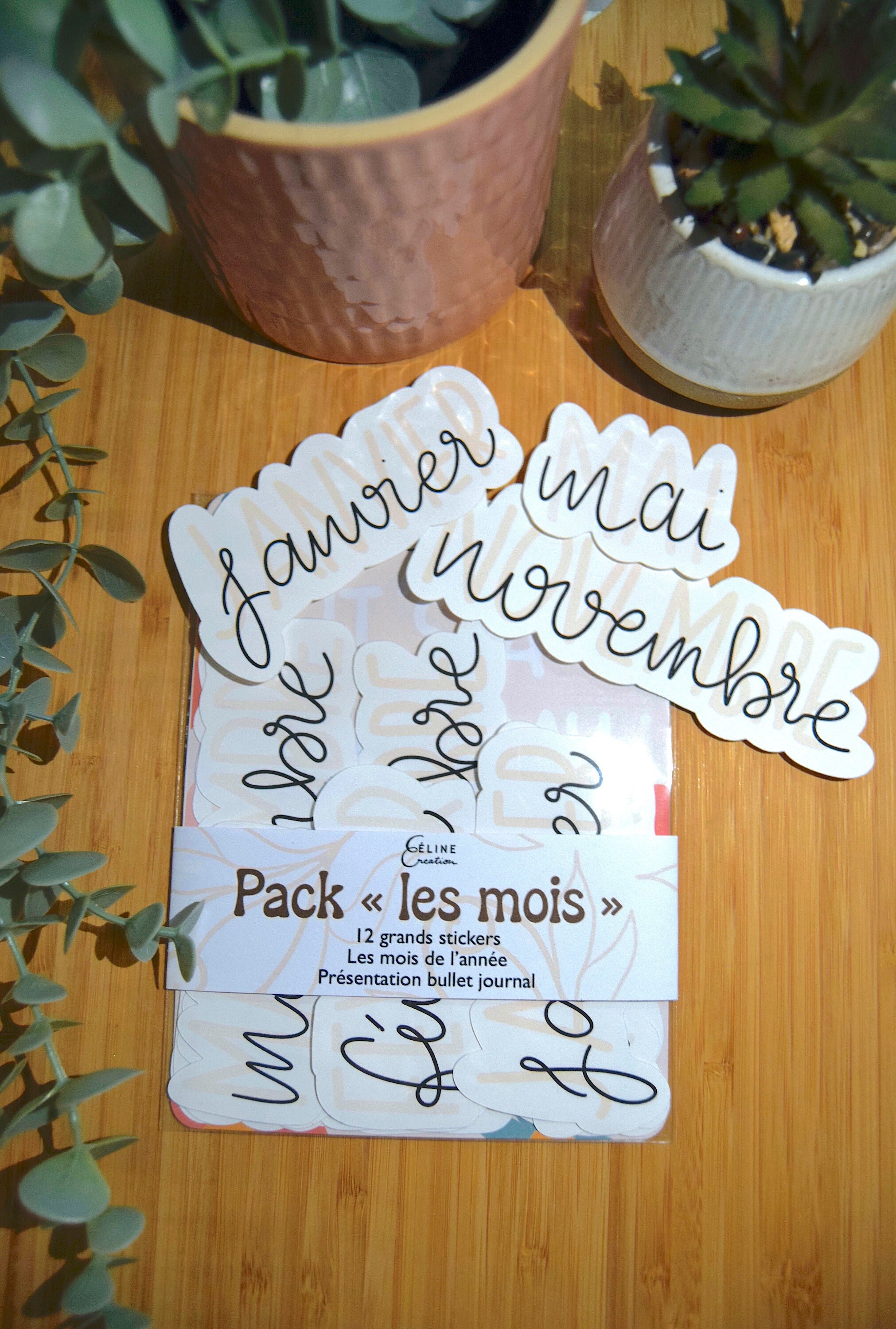 Bullet journal monthly stickers -  France