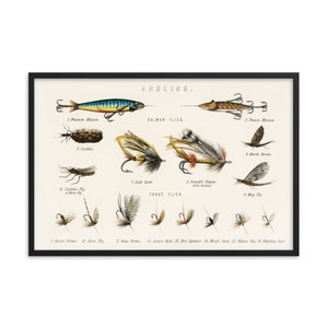 Vintage Angling Baits Fly Fishing Art, Trout Fish Print, Breeds Of Fish, Bass, Salmon, Fisherman Cabin Poster, Man Cave, Lake House Decor