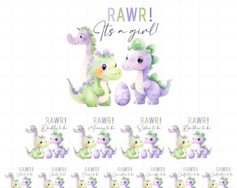Dinosaur baby shower shirt PNG bundle sublimation, Baby dino. Its a girl baby shower family matching shirt PNG sublimation, Instant Download