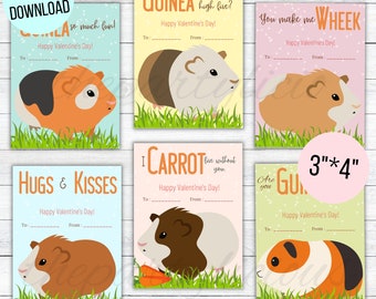 Printable Guinea pig valentines day cards, Classroom Valentines day cards, Printable Cute Guinea pig valentines day cards, INSTANT DOWNLOAD