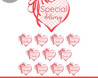 Spezielle Lieferung Baby-Dusche-Shirt PNG Sublimation, Geschlecht offenbaren Scheibe Scheibe Pizza Baby-Dusche passende Familie Shirt PNG, Instant Download