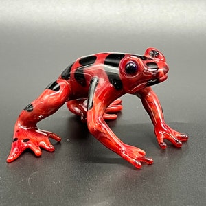 Poison Dart Frog