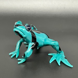 Poison Dart Frog