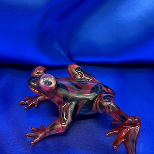 Opal Eyed Poison Dart Frog