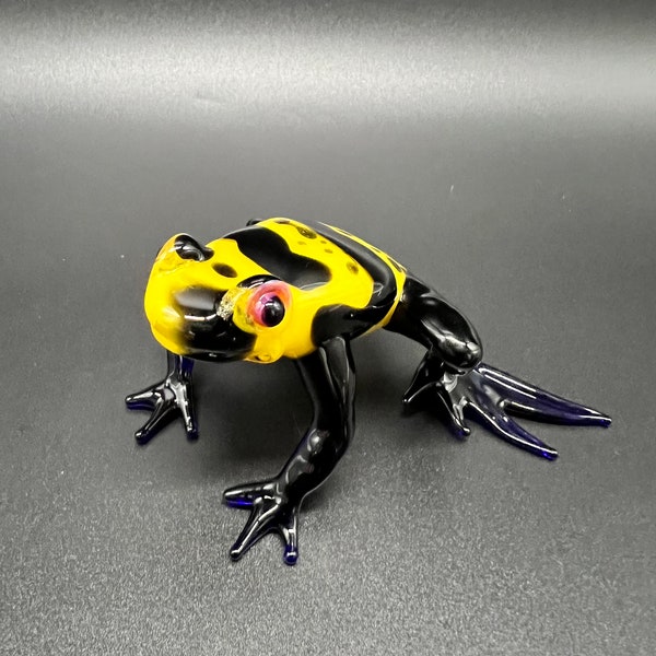 Poison Dart Frog