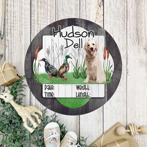 Perchero para puerta con diseño de labrador amarillo y caza de patos para bebé - Decoración para baby shower con diseño de caza de patos - Letrero con nombre para bebé niño - Decoración para guardería - Estadísticas de nacimientos en el hospital