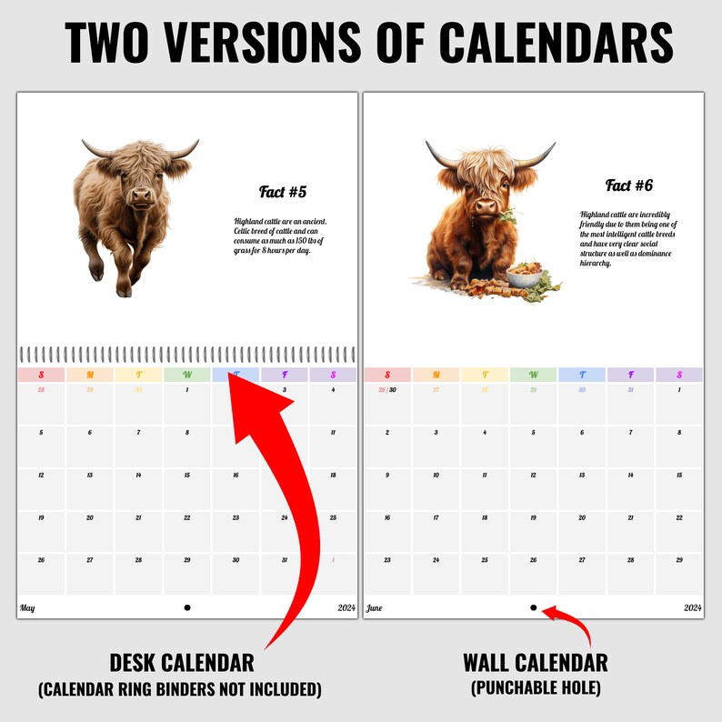 2024 Highland Cattle Wall Calendar Printable Calendar Desk Etsy UK