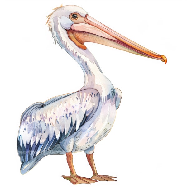 10 Cartoon Pelican Clipart Big Bird Watercolor Art Printable High Quality JPG Papercraft Junk Journal Scrapbooking Digital Download