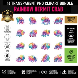 Bundel PNG-clipart van een regenboogheremietkrab: illustratie van een zeedier (digitale download)
