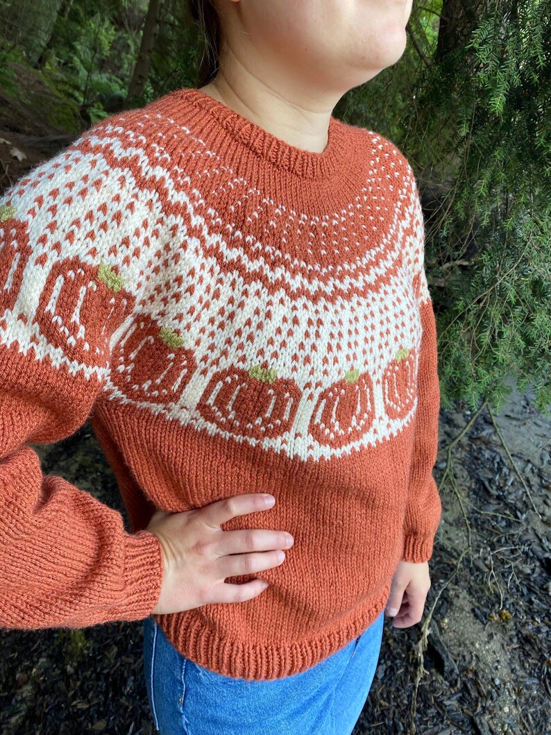 May include: A rust-colored knitted sweater with a white and rust-colored fair isle pattern featuring pumpkins. The sweater has a crew neck and long sleeves.