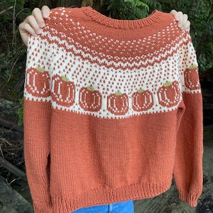 May include: A knitted sweater in a rust orange color with a white and cream colored pattern of pumpkins. The sweater has a crew neck and long sleeves.
