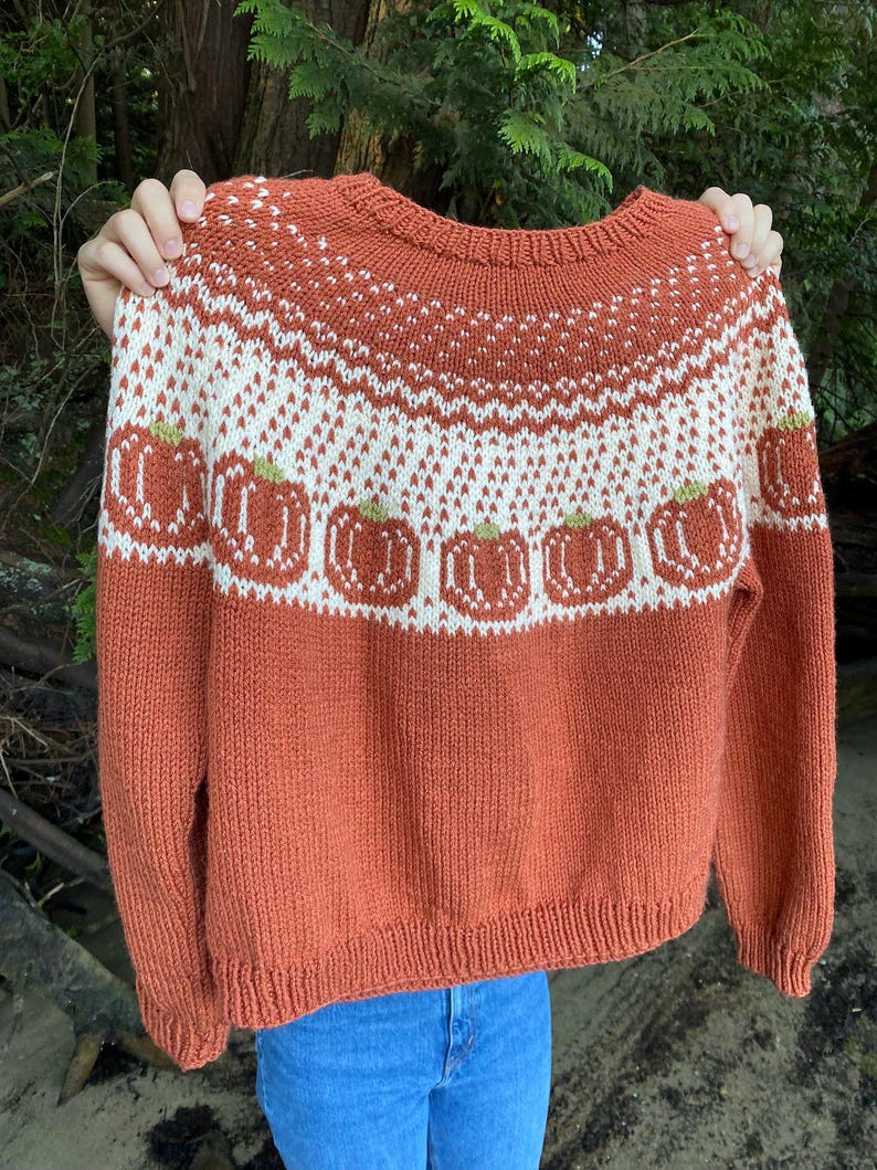 May include: A knitted sweater in a rust orange color with a white and cream colored pattern of pumpkins. The sweater has a crew neck and long sleeves.