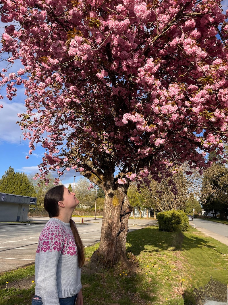 Cherry Blossom Short Sleeves Knit Set main image 0