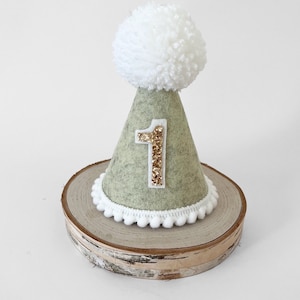 Pistachio style birthday party hat, 1st birthday hat, Light Green Party hat, 1st birthday celebration, Cake smash party hat