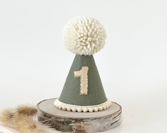 Sage Green Party hat, 1st birthday, Cake smash party hat, green hat, Photoshoot hat, Any age