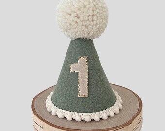 Sage Green Party hat, 1st birthday, Cake smash party hat, green hat, Photoshoot hat, Any age