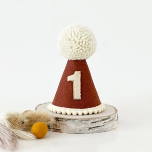 Pumpkin spice birthday party hat, Fall party hat, 1st birthday, Cake smash hat, Fall theme party hat, Any age