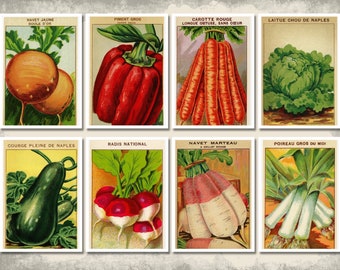 Vintage Flower & Vegetable Cards Printable | Vintage Scrapbooking Junk Journal Resources | DIGITAL DOWNLOAD