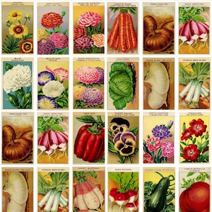 Puede incluir: Una colección de ilustraciones vintage de paquetes de semillas con flores coloridas y varias verduras. Las tarjetas muestran dibujos botánicos detallados de flores, zanahorias, calabazas y otros productos, con una estética clásica y envejecida.