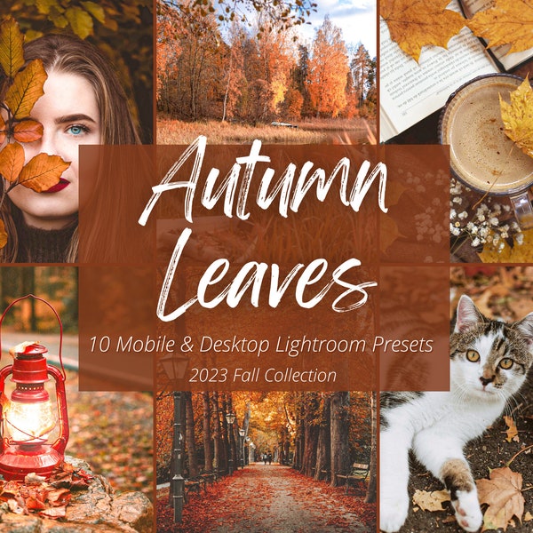 10 Autumn Leaves Lightroom Mobile & Desktop Presets, Warm Fall Preset, Dark Moody Autumn Preset, Earthy Instagram Filter, Fall Foliage, VSCO