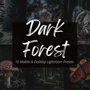 10 Dark Forest Lightroom Mobile & Desktop Presets, Dark Moody Presets, Dark Aesthetic, Nature Preset, Moody Instagram Filter, Blogger Preset