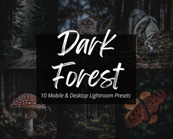 10 Dark Forest Lightroom Mobile & Desktop Presets, Dark Moody Presets, Dark Aesthetic, Nature Preset, Moody Instagram Filter, Blogger Preset