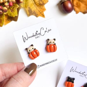 May include: A pair of cat-shaped earrings nestled in orange pumpkins, displayed on a white card. The earrings are made of clay and feature a black and white cat face. The card has the text "Wandering Calico Clay" and the Instagram handle.