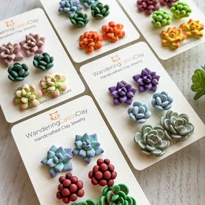Juego de aretes de suculentas de arcilla polimérica, crea tu propio juego de cactus, joyería con temática desértica, aretes botánicos hechos a mano, combina y combina