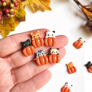 May include: A collection of miniature cat figurines nestled in orange pumpkin shapes. The cats have various colors and patterns, including black, gray, and orange tabby. These fall-themed decorations are perfect for seasonal crafts or home decor.