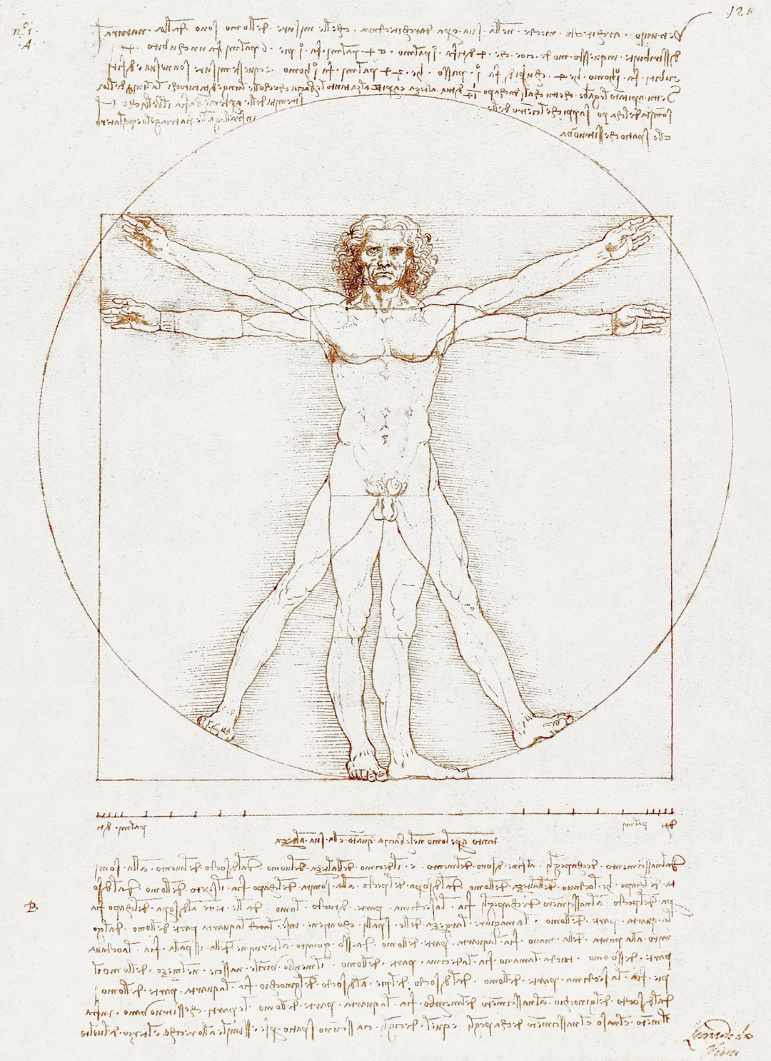 leonardo-da-vinci-s-vitruvian-man-digital-print-etsy