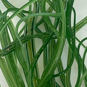 May include: A collection of long, slender, translucent glass rods in various shades of green. The rods are curved and intertwined, creating a dense, organic tangle with smooth, glossy surfaces that reflect light across their rounded forms.