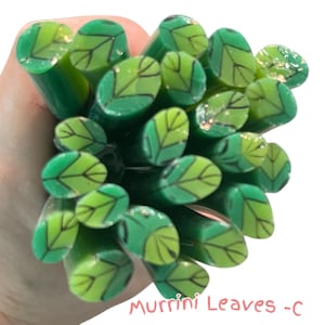 COE 96 Murrini Leaves