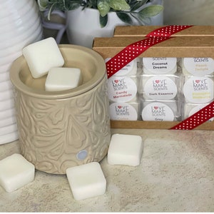 Signature Wax Melt Sampler Box | Signature Scents | Wax Tarts | Wax Cubes | Highly Scented | Variety Box