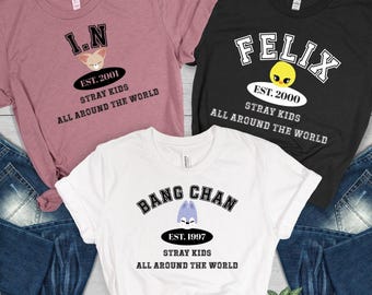 Cute Stray Kids Members Chibi T-shirt, Stray Kids Shirt, Stray Kids Group Shirts, Music Lover T-shirt