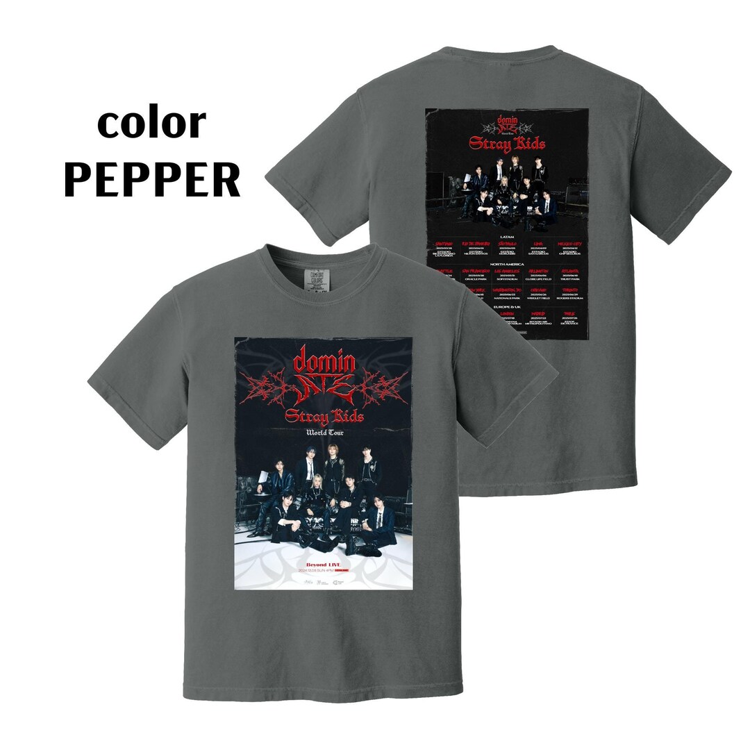 Stray Kids World Tour 2025 Tshirt , Dominate SKZ Tshirt, Comfort Colors