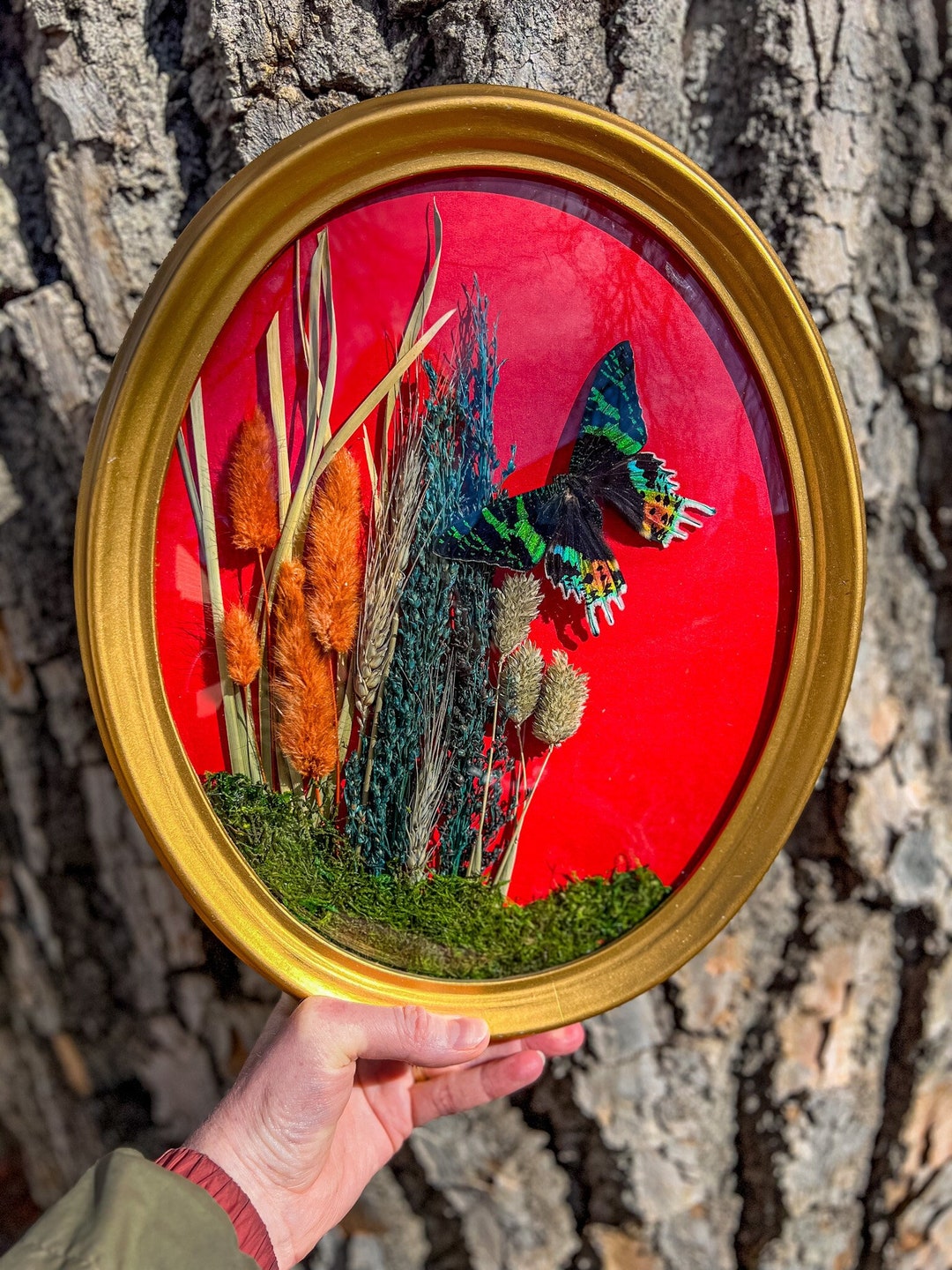 Moth Wall Décor