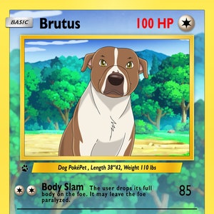 Custom PokePaw Pets  | Poke Cards | Digital Image | PokePet Monster Pets | Personalized Poke Cards | Custom Poke Card Digital Designs Gift
