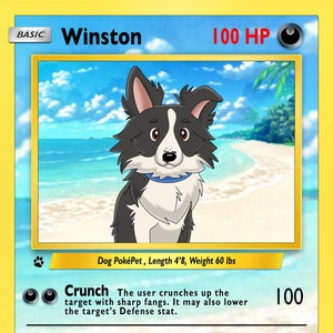 Animaux PokePaw personnalisés | Cartes Poke | Image numérique | Animaux monstres PokePet | Cartes Poke personnalisées | Cadeau de conceptions numériques de cartes Poke Card personnalisées
