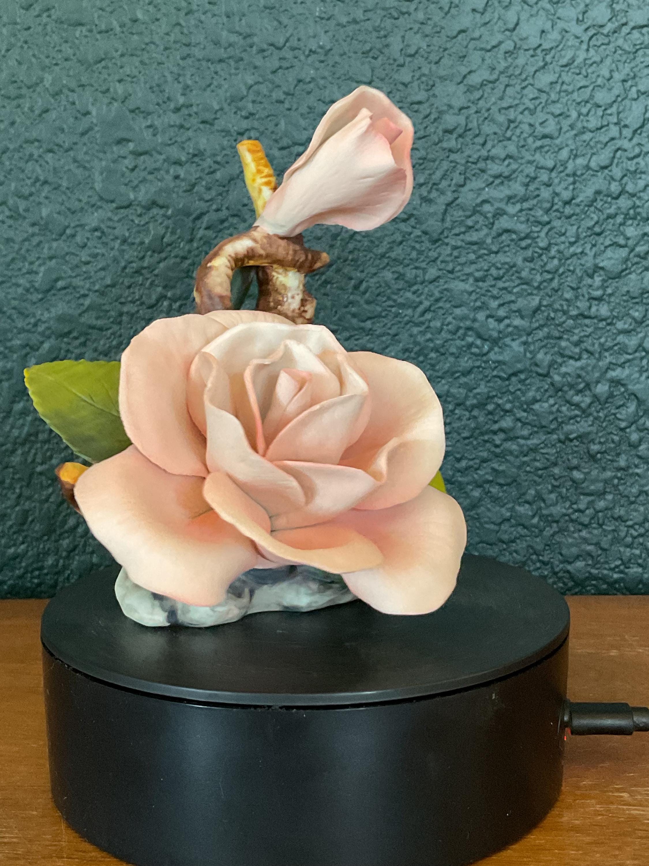 イタリア製 NAPOLEON ポーセリン ローズ フラワー フィギュリン　7点 Napoleon Porcelain Roses - Etsy