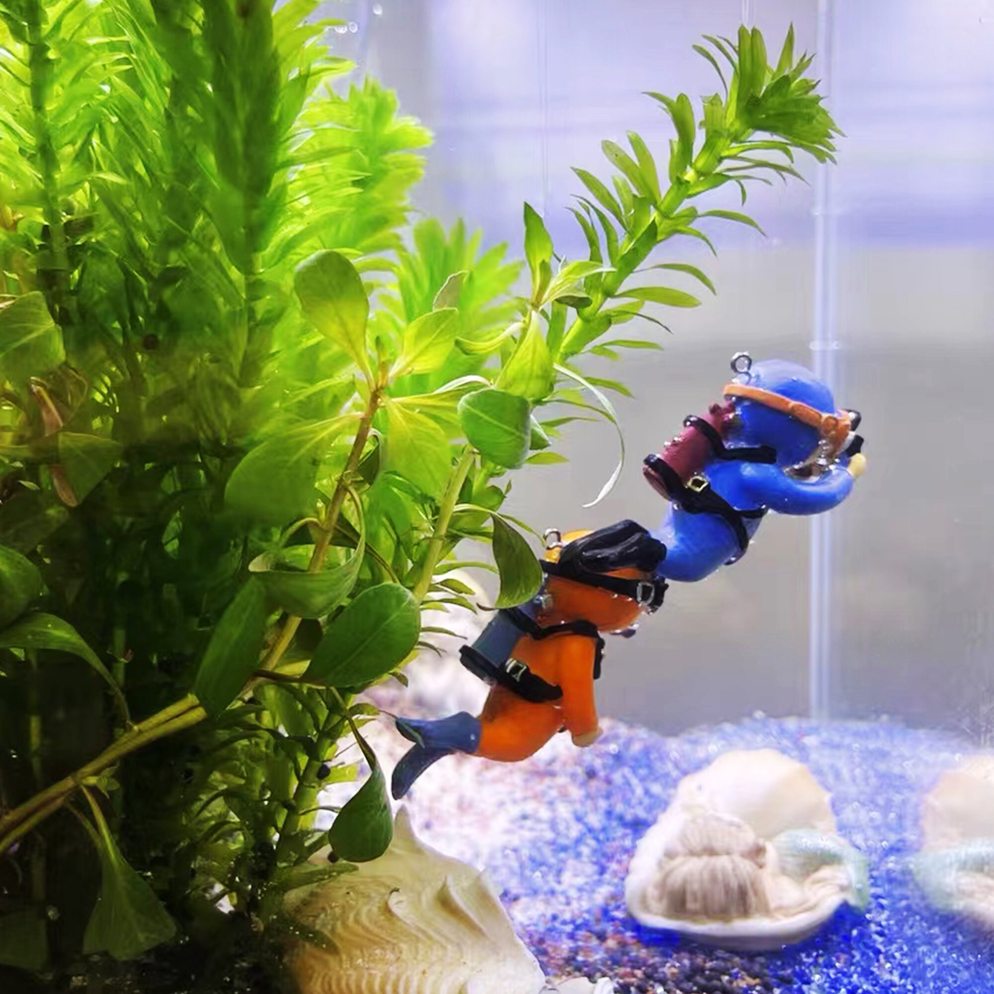 Weird Fish Tank ubicaciondepersonas.cdmx.gob.mx