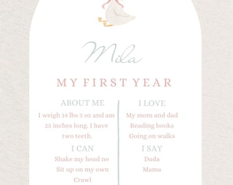 A Year In Review / One Silly Goose Year In Review / First Birthday Year / 100% Editable PDF Document
