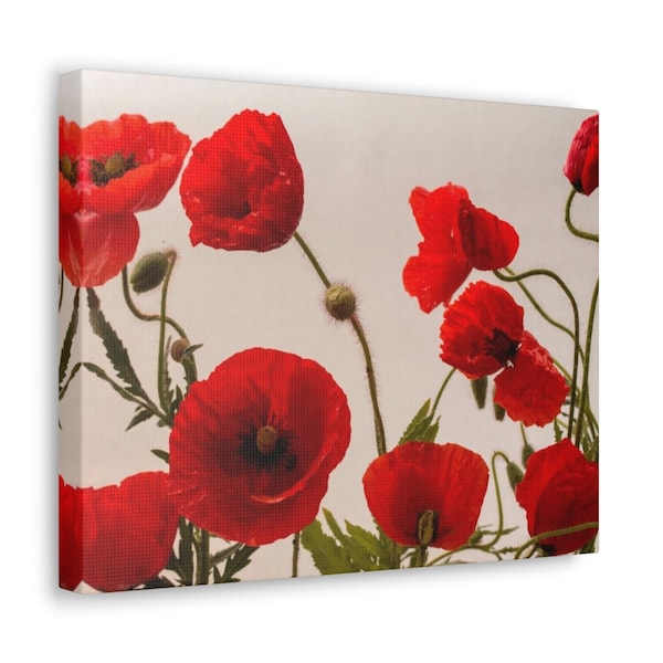 Red Poppy Canvas Wall Art Home Decor