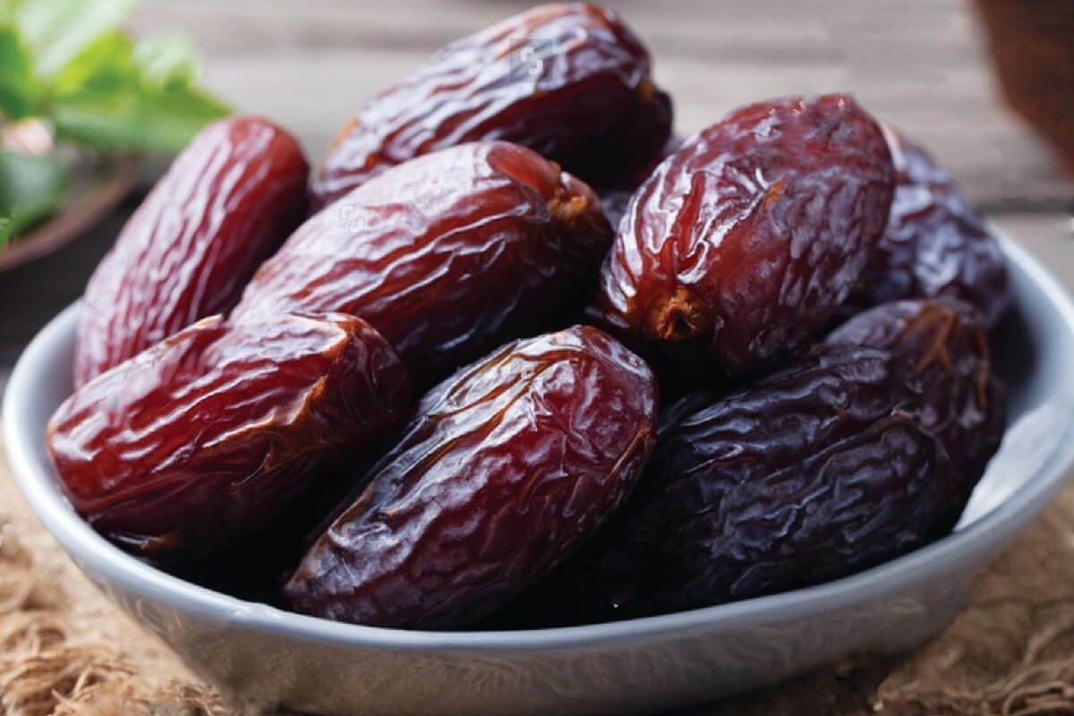 Medjool Date Palm Seeds Etsy