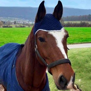 Puede incluir: Un caballo marrón con una gorra de mosca de ganchillo azul marino con ribete blanco. El caballo también tiene una manta azul marino y un cabestro negro. El fondo presenta un campo verde y un paisaje distante.
