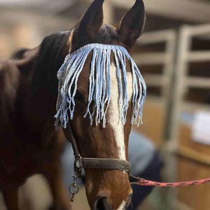 May include: A brown horse wearing a light blue and white fringe fly bonnet. The bonnet is crocheted and covers the horse's eyes, attached to a leather halter. The horse has a white stripe down its face.
