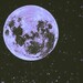 MoonskulledDesigns