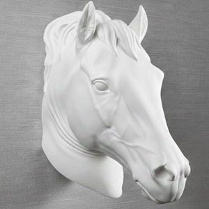 Wandsculptuur en decoratie paardenhoofd | Muurkunst paardenhoofd | Rustieke wanddecoratie | Muurkunst dieren | Namaaktaxidermie