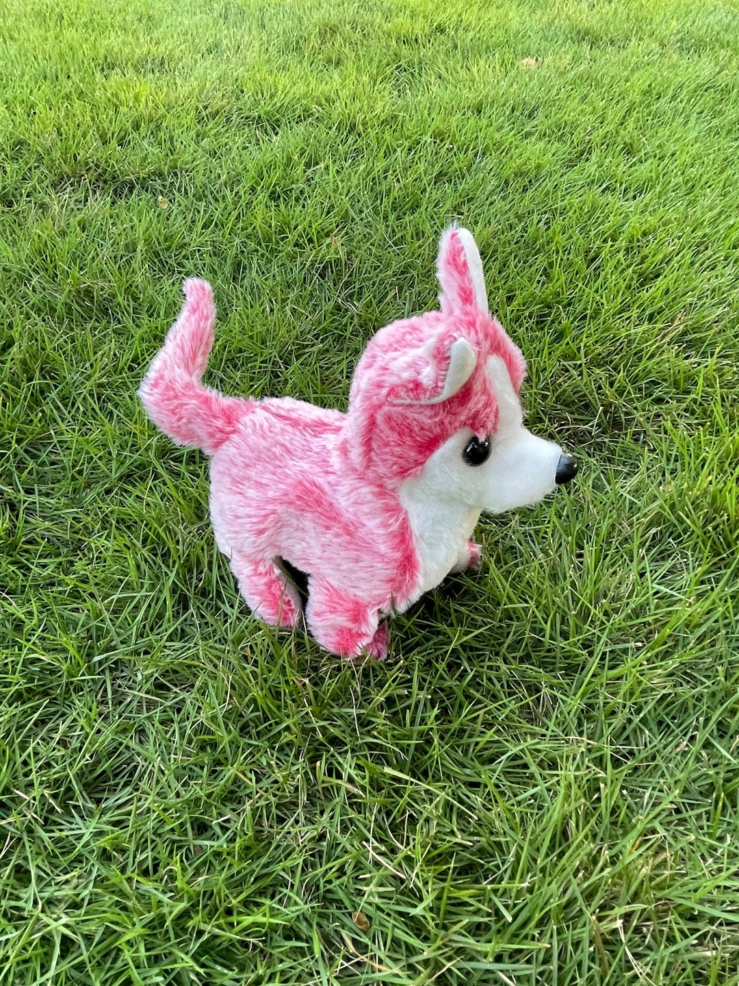 Husky Puppy Dog Stuffed Animal Cute Animal Husky Gift Toys For Kids husky-puppy-dog-stuffed-animal-cute-animal-husky-gift-toys-for-kids