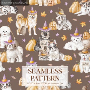 Puede incluir: Un patrón digital sin costuras con ilustraciones en acuarela de varias razas de perros con sombreros de bruja morados y amarillos, rodeados de calabazas naranjas, farolillos, hojas de otoño, estrellas moradas y dulces sobre fondo marrón.